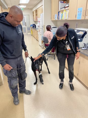 Images VCA West Los Angeles Animal Hospital