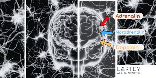 Annette Lartey Heilpraktikerin, Kaiser-Friedrich-Str. 6 in Wiesbaden