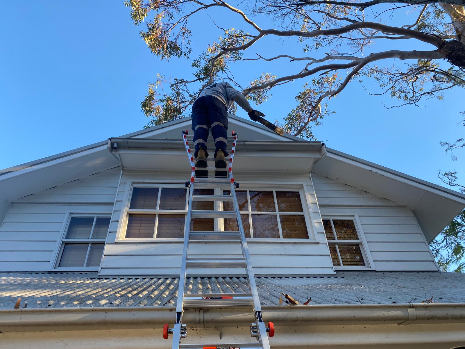 Images The Squeegees Window Cleaning