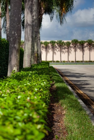 Images Design & Cut Landscape Services