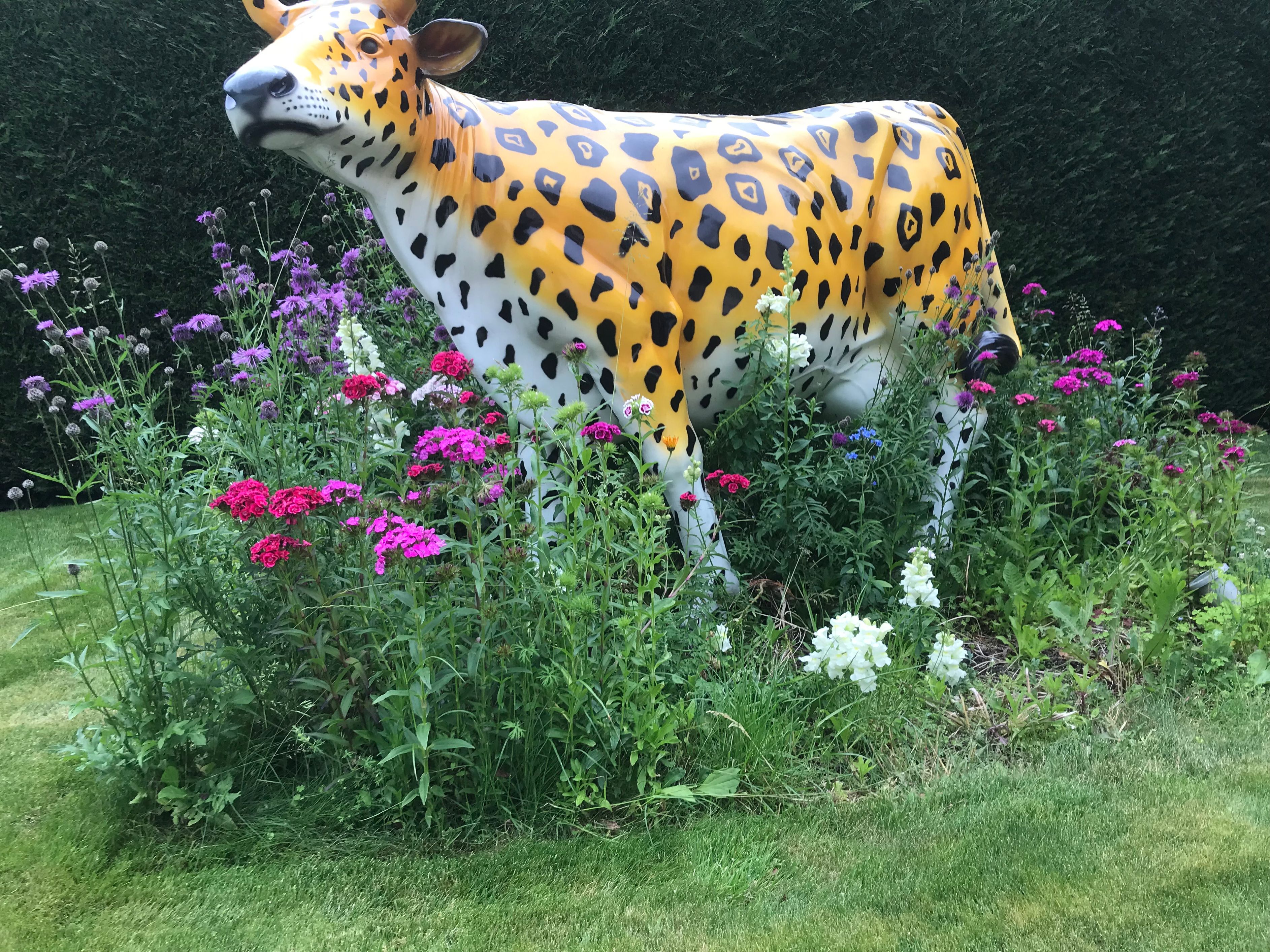 Bilder Royal Jardin sarl