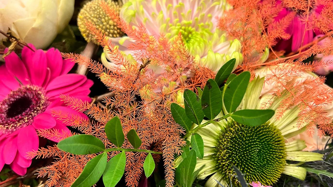 Images Fyrkat Blomster