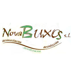 Nova Buxos Logo