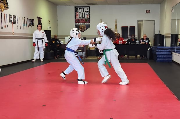 Images Jaguar Dojo