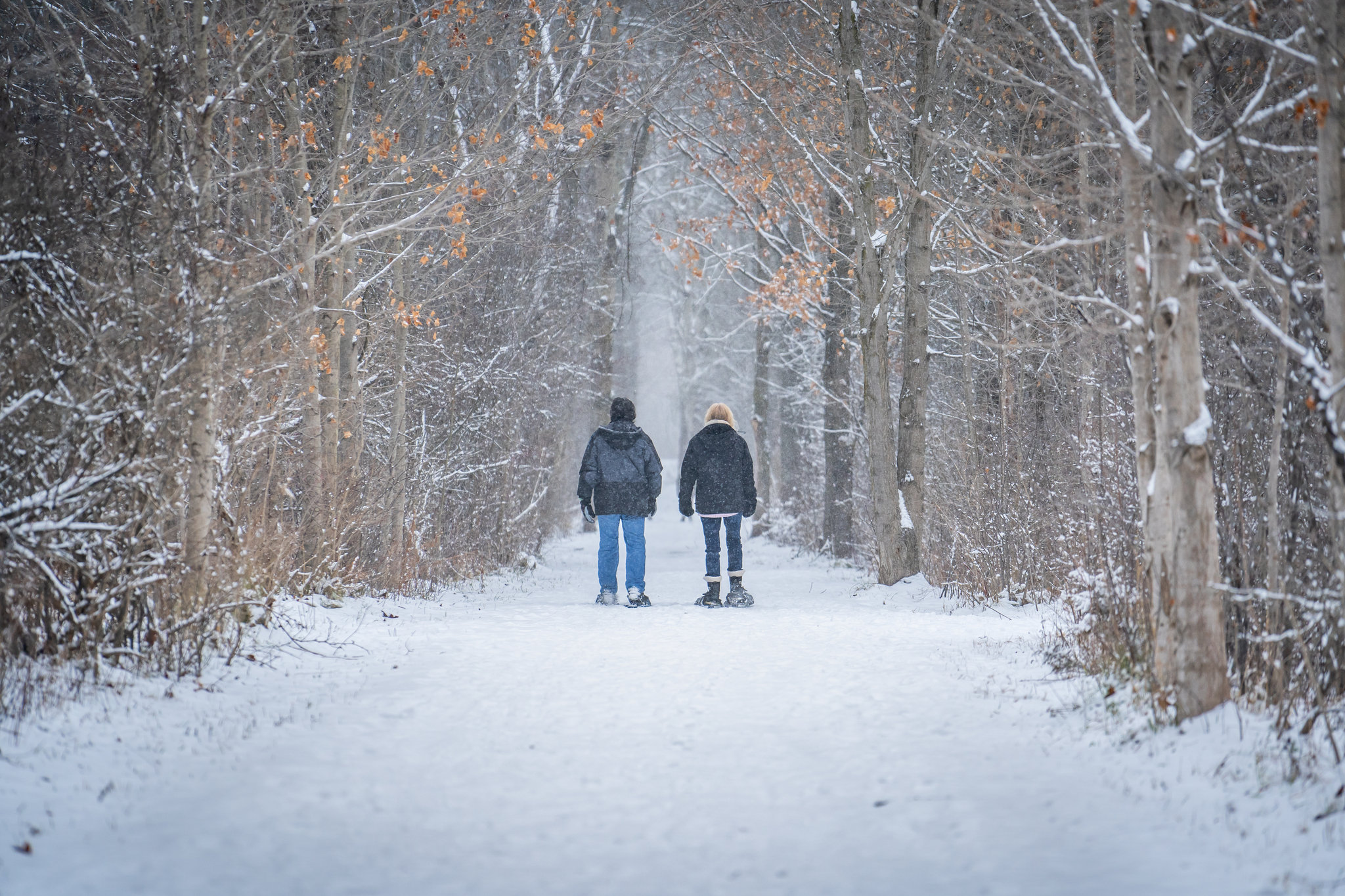 Images Holiday Inn Express & Suites Kitchener Southeast by IHG