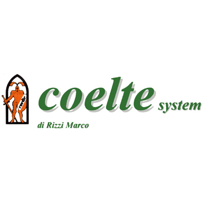 Coelte System Logo