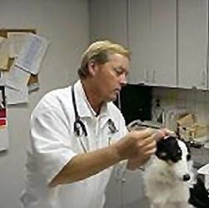 Images Gateway Animal Hospital