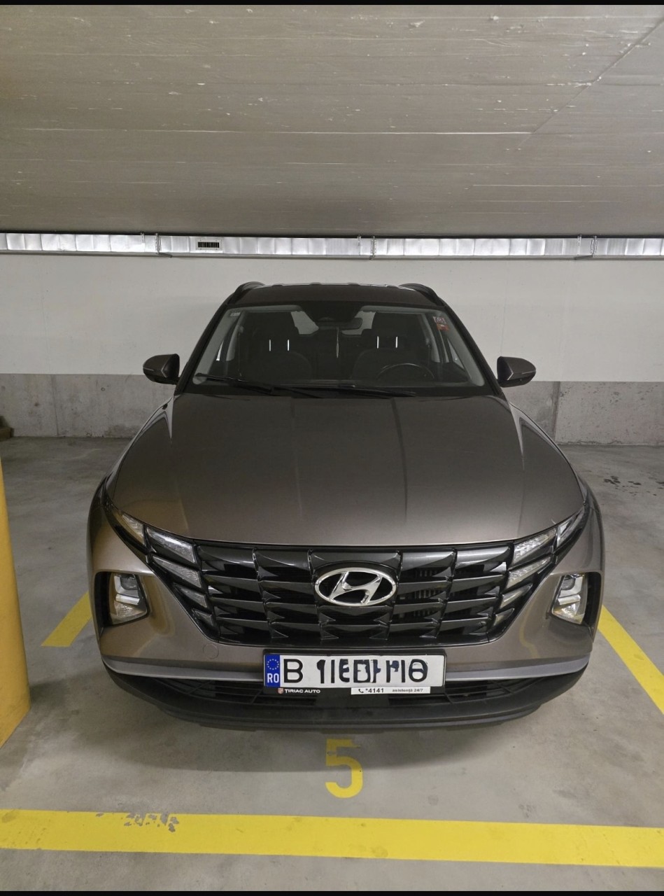 AUTOGLASDOC - Scheiben Austausch und Steinschlag Reparatur, Stolzwiesstrasse 8 in Unterengstringen