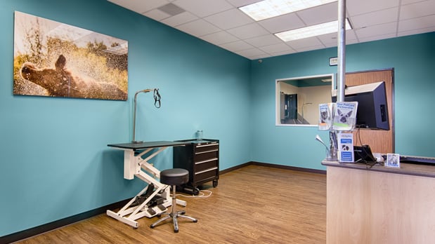 Images CityVet | Frisco