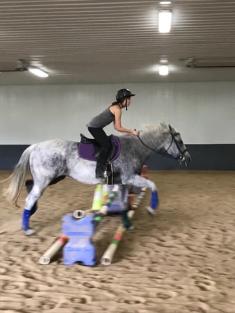 Images Pine Ridge Riding Center LLC