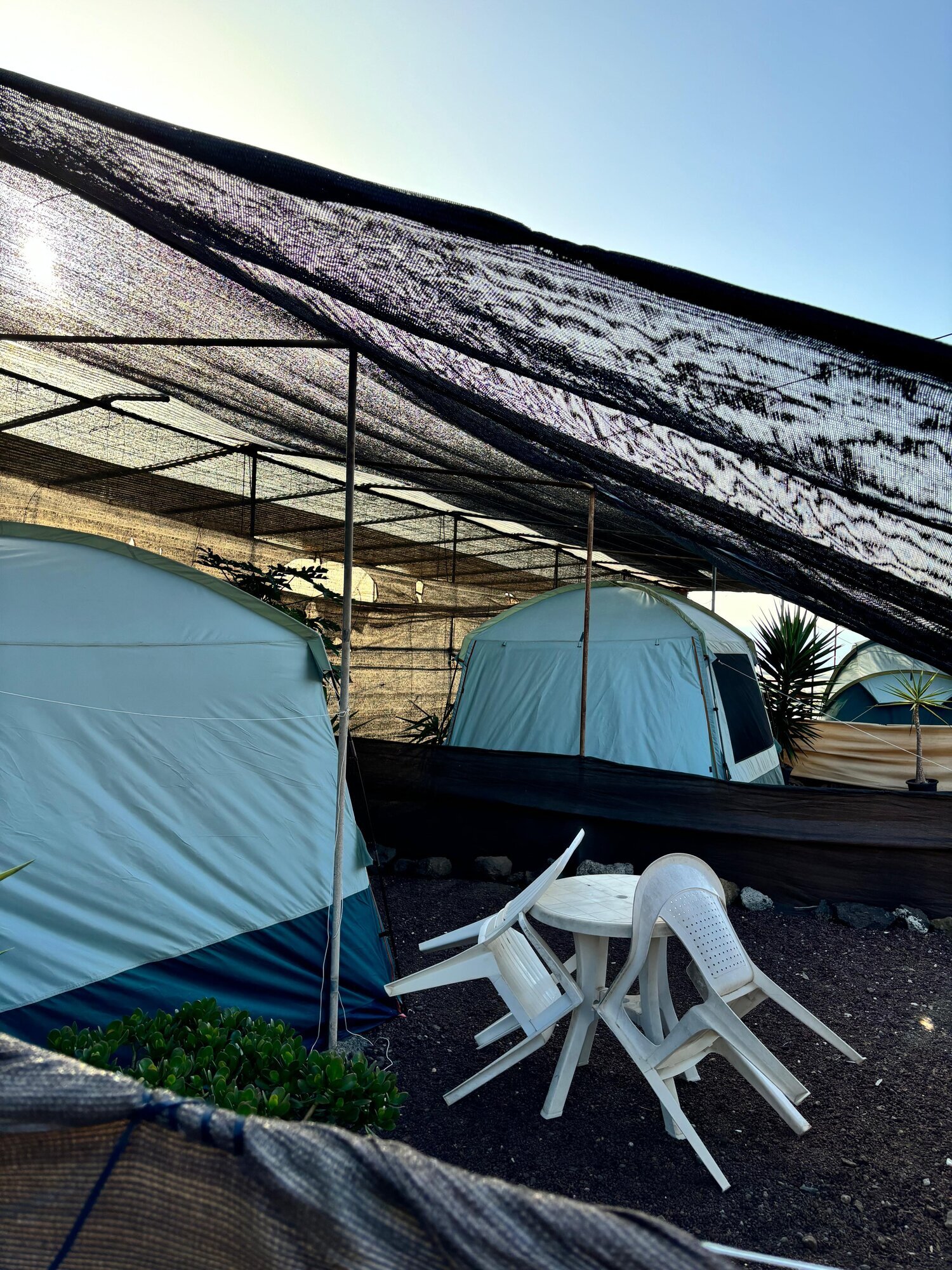 Images Agro Camping Invernaderito