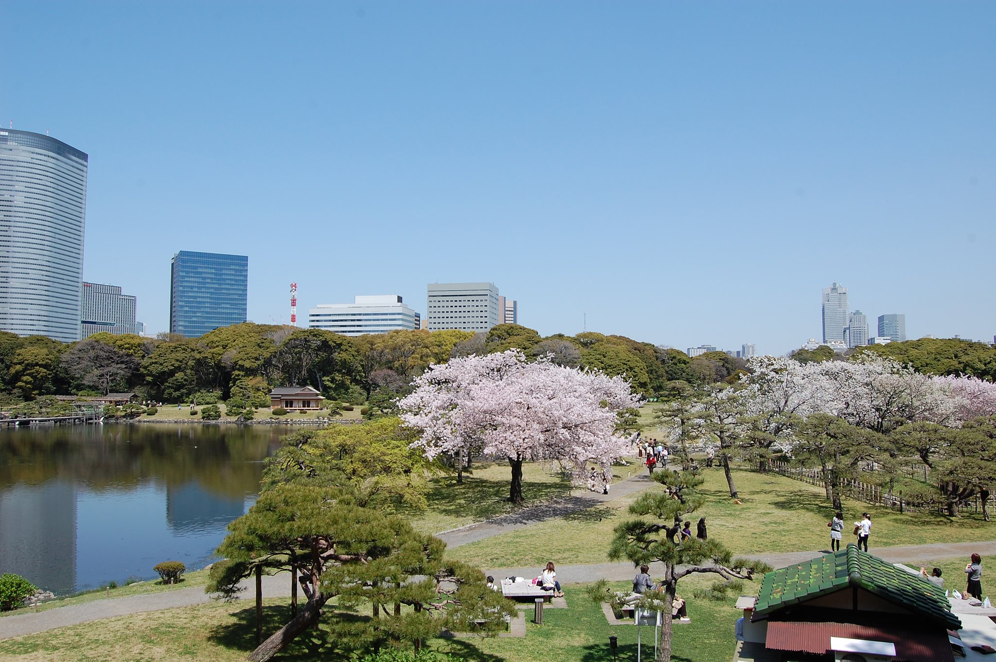 Images InterContinental Tokyo Bay by IHG