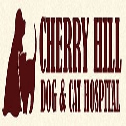 Images Cherry Hill Dog And Cat Hospital