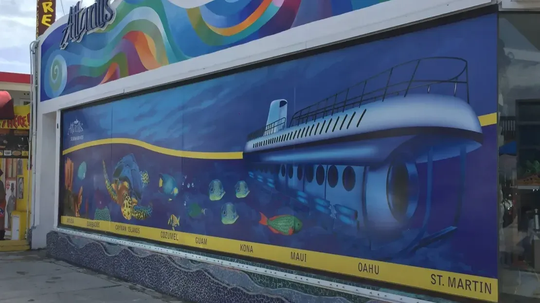 Images Alebrije Studio