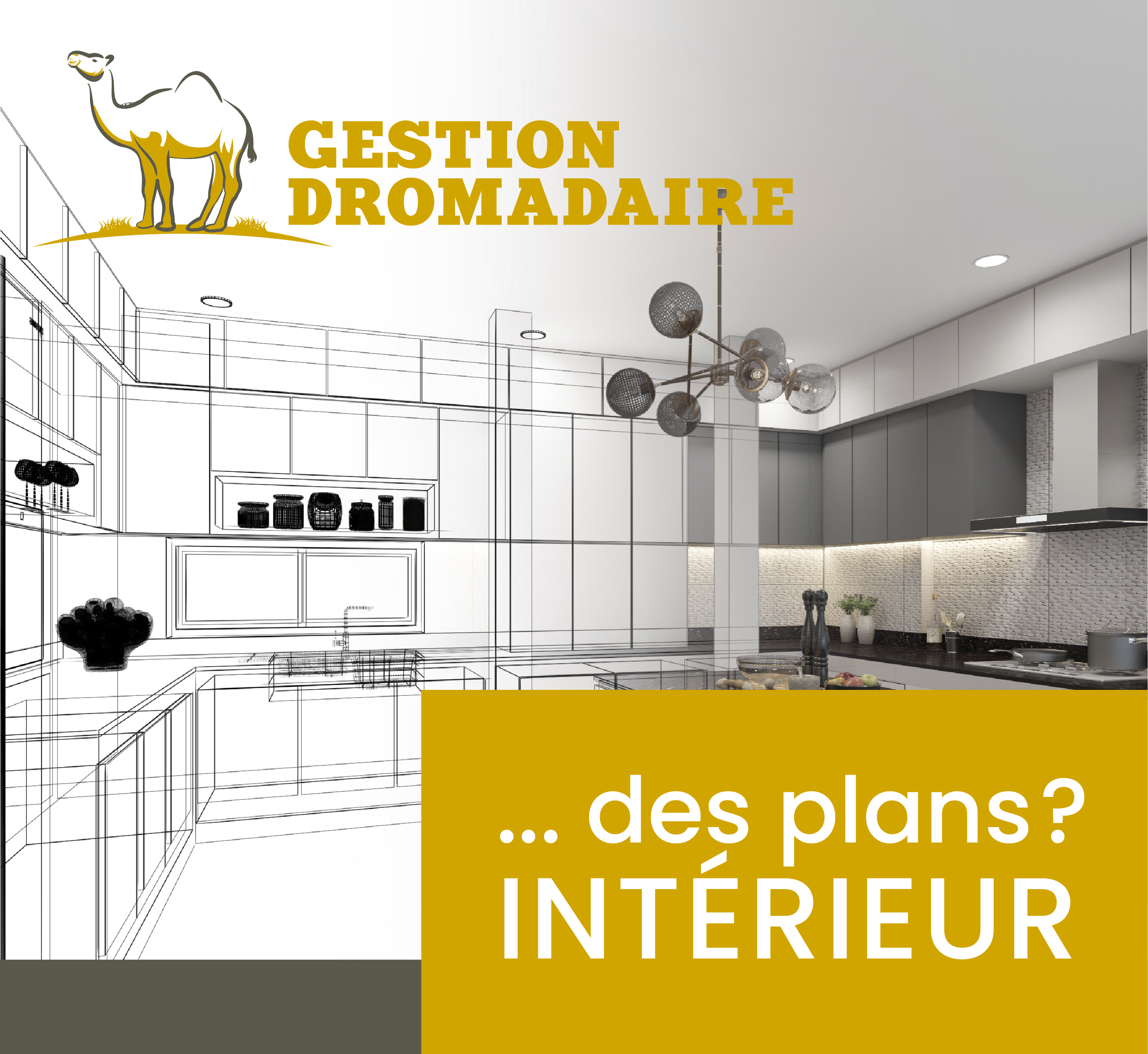 Images Gestion Dromadaire Inc