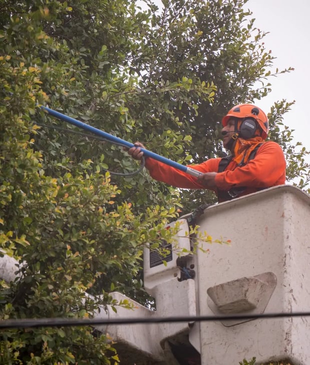 Images Pacific West Tree Care Inc.