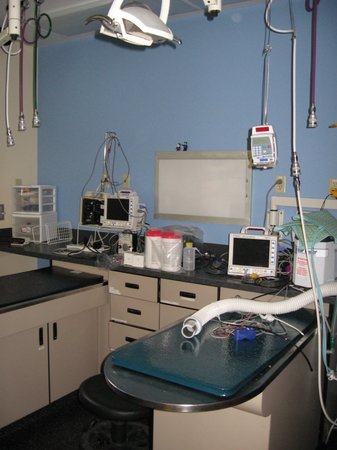 Images VCA Raleigh Hills Animal Hospital