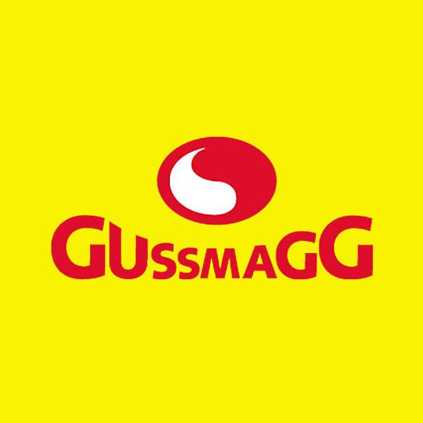 GUSSMAGG GmbH Logo
