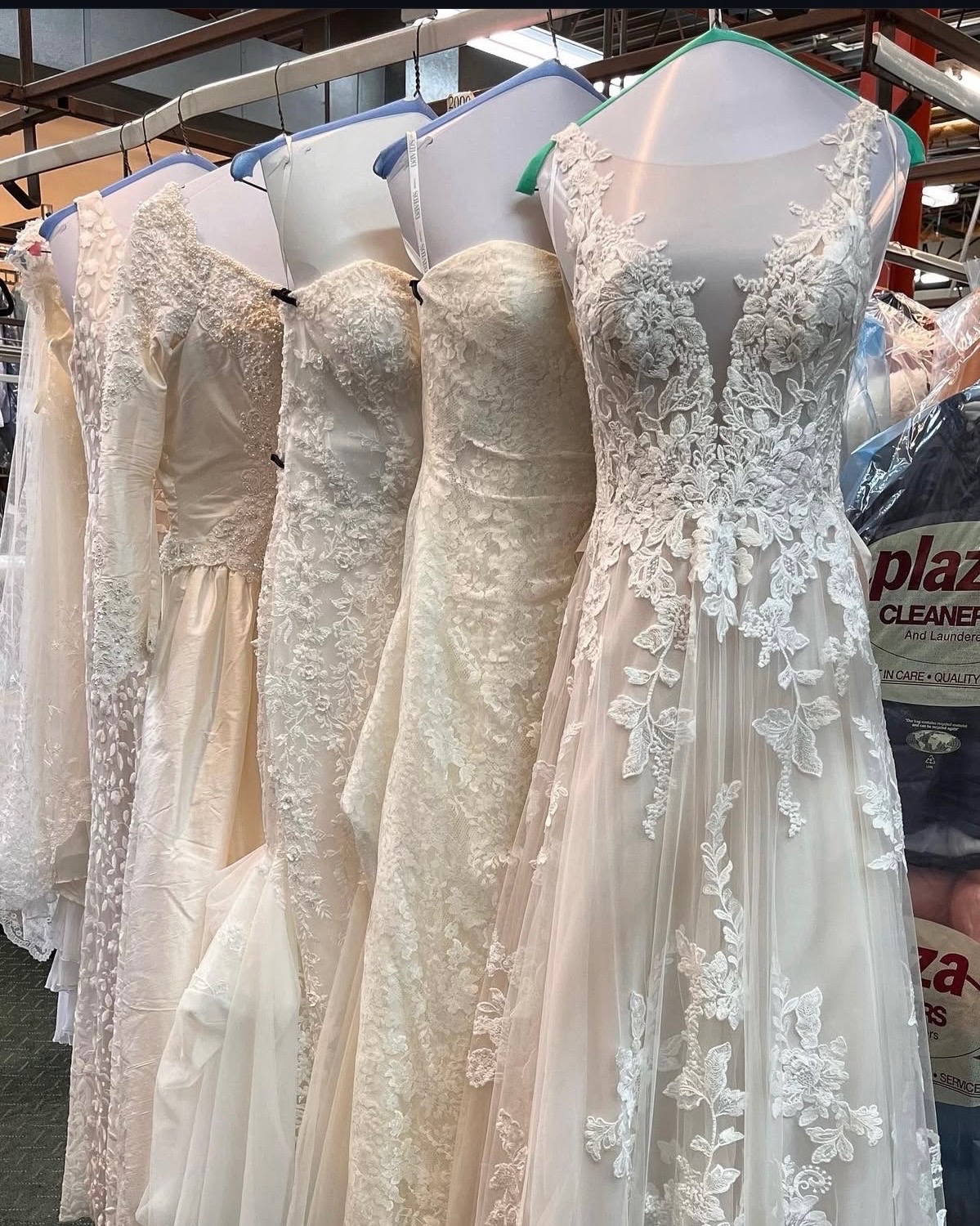A row of stunning lace and tulle wedding dresses hanging on display, highlighting expert bridal garment care at Plaza Cleaners.
