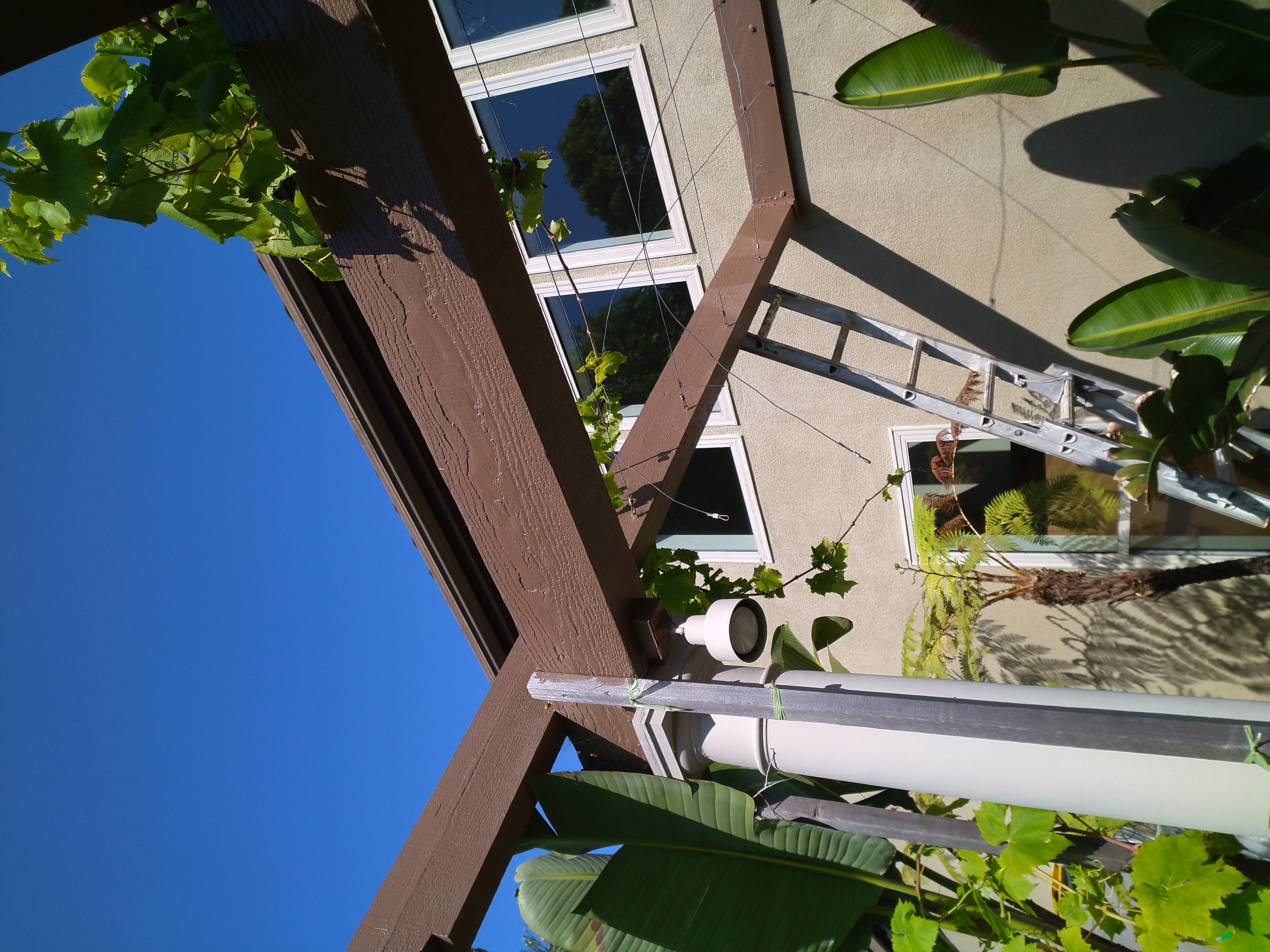 All-Ways Improving Image