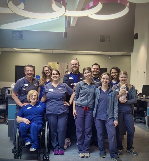 Images VCA Sawmill Animal Hospital