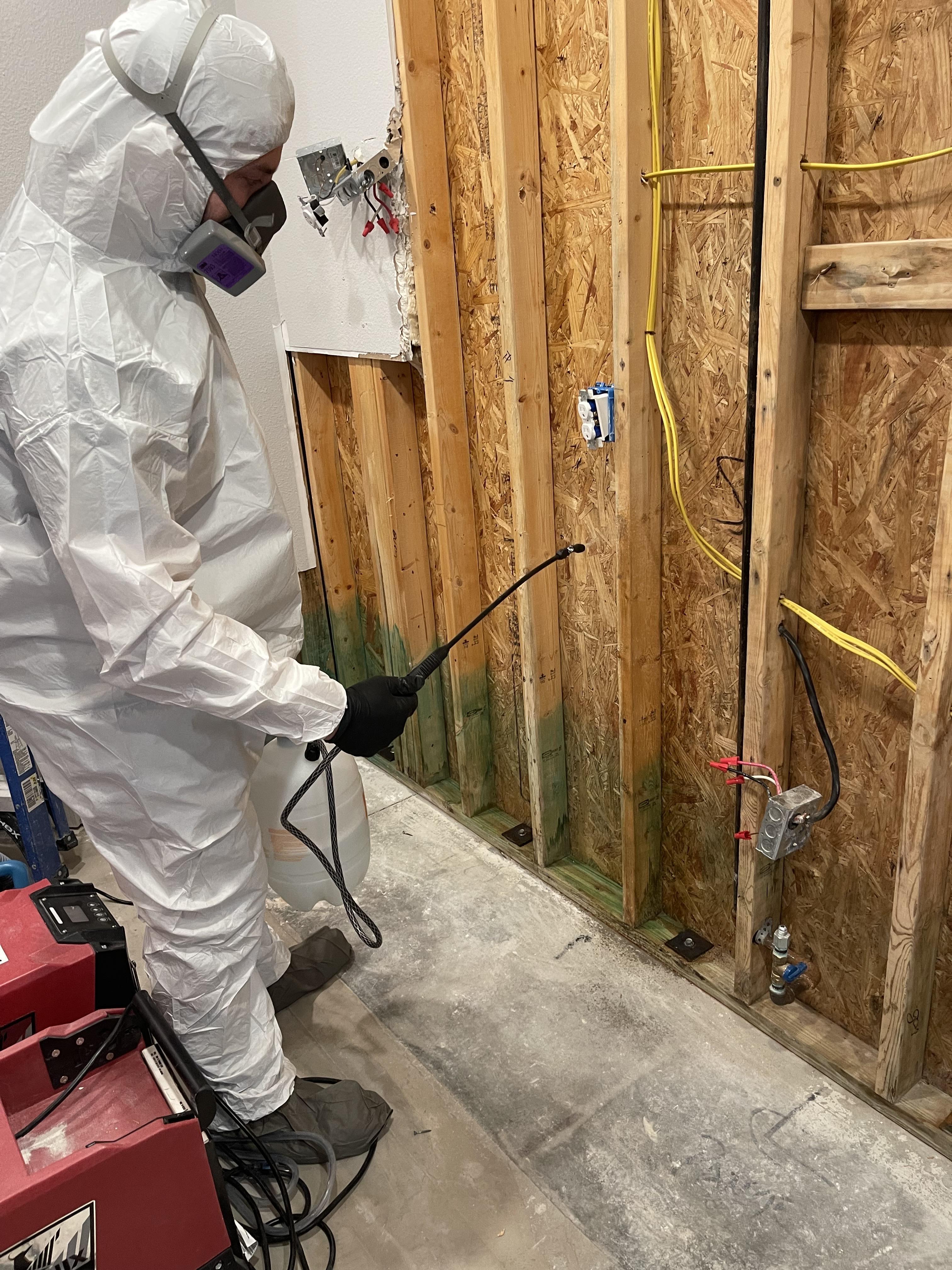 Water Damage Restoration and Mold Mitigation