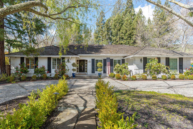 Images Michelle Torretta, REALTOR | The Agency