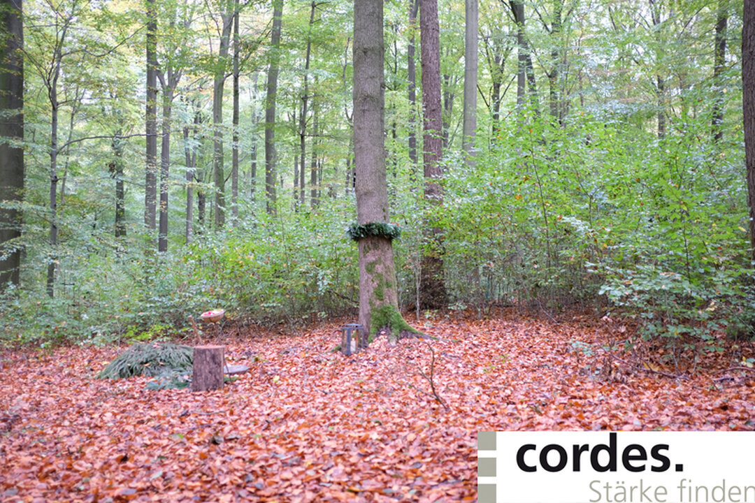 Friedrich Cordes Bestattungen Hannover-Linden, Minister-Stüve-Straße 14 in Hannover