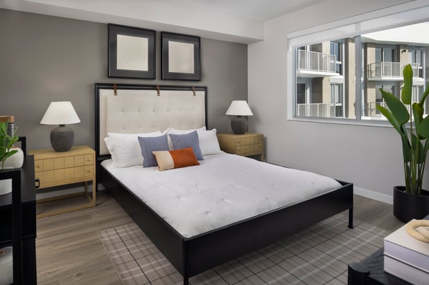 Images The Marc Apartments