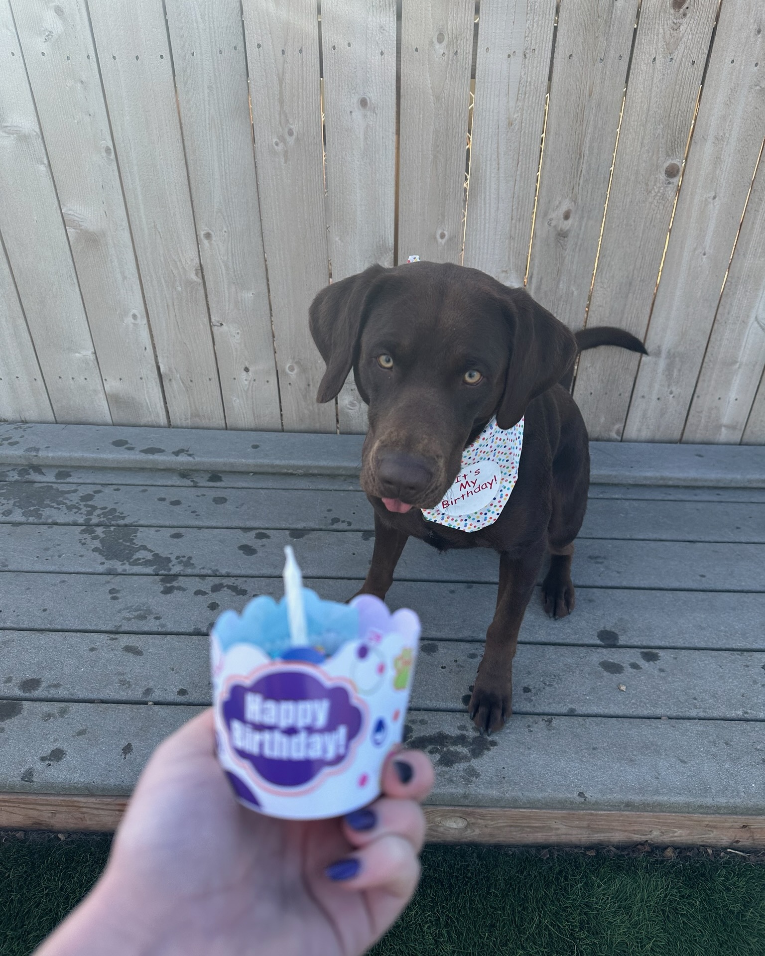 Happy birthday Arnie!