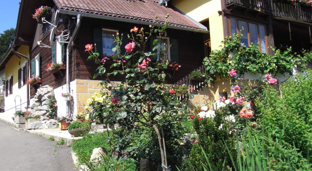 Urlaub am Bauernhof Unger O.G., Grabersdorf 59 in Gnas