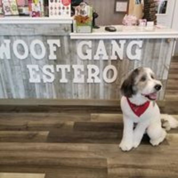 Woof Gang Bakery & Grooming Estero Photo