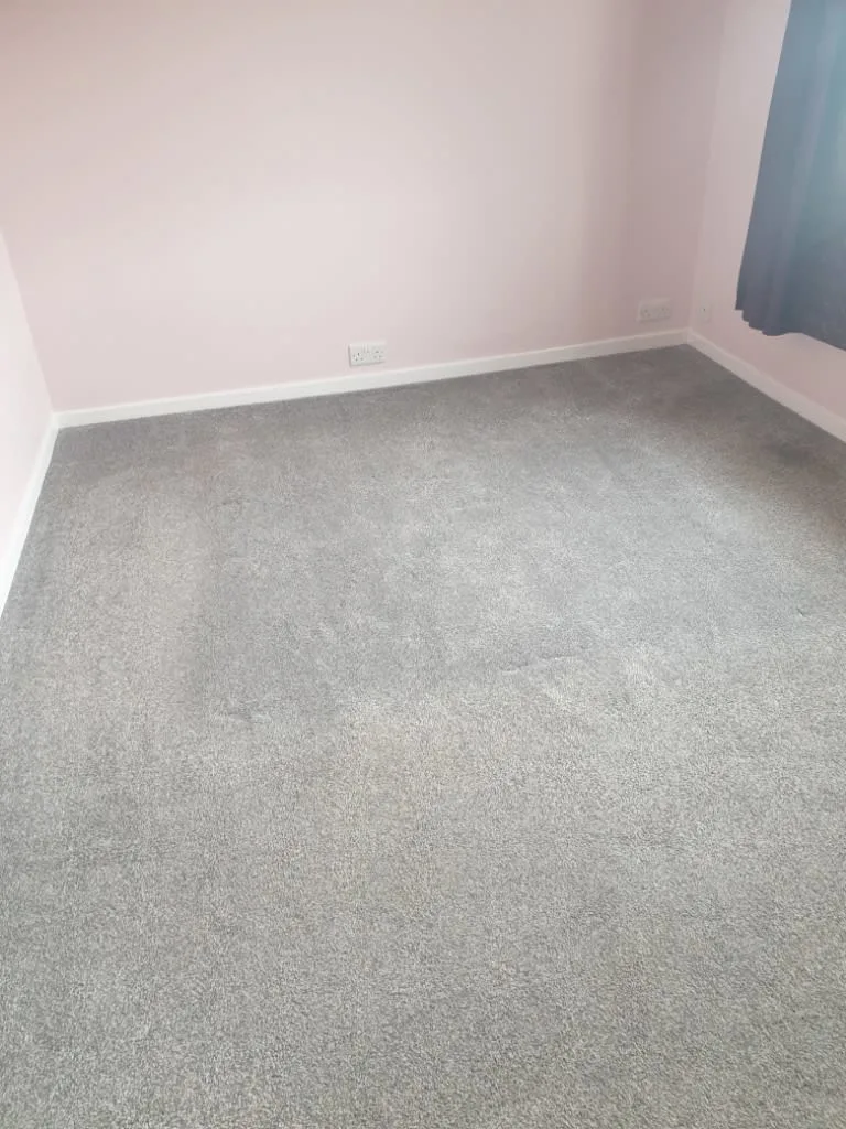 Images Johnshaven Carpet Cleaning Services