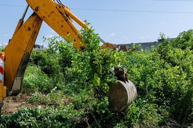 Images Trinity Landscaping & Excavating