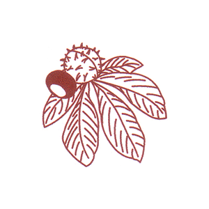 Kastanien-Apotheke Logo