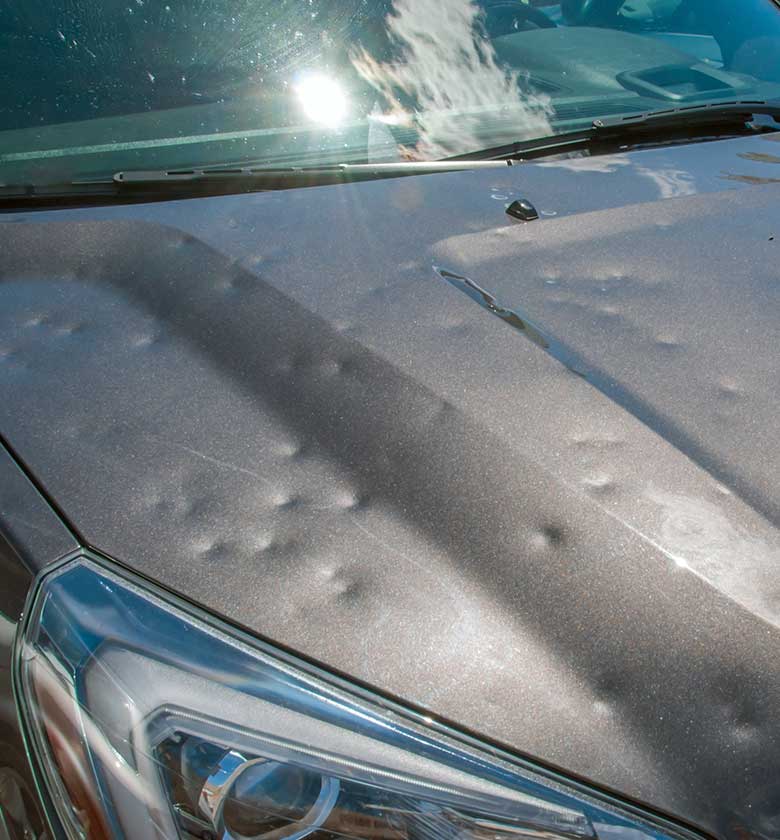 Bilder Carrosserie Sturzenegger AG