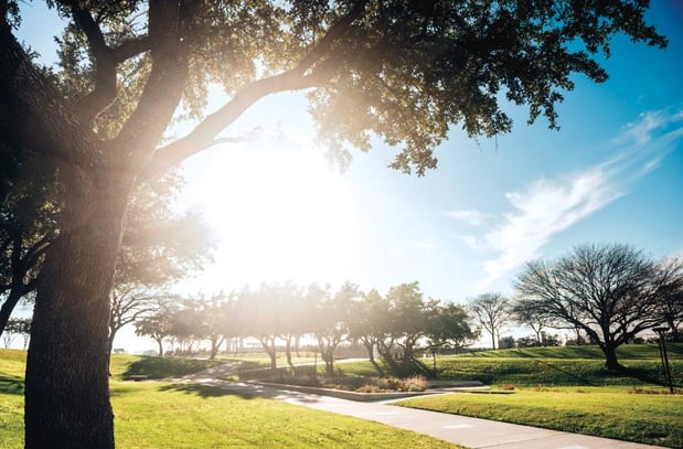 Images Toll Brothers at Woodland Estates