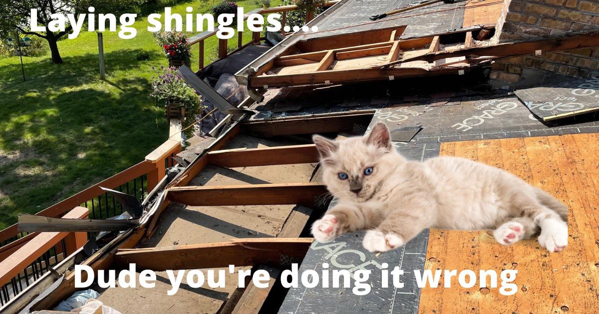 A cat's idea of laying shingles J.G. Hause Construction, Inc Oakdale (651)439-0189