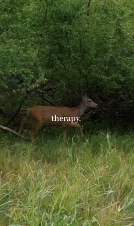 Images Found Recovery | Mental Health, Addiction & Wellness Center in Agoura Hills (Detox/PHP/IOP)