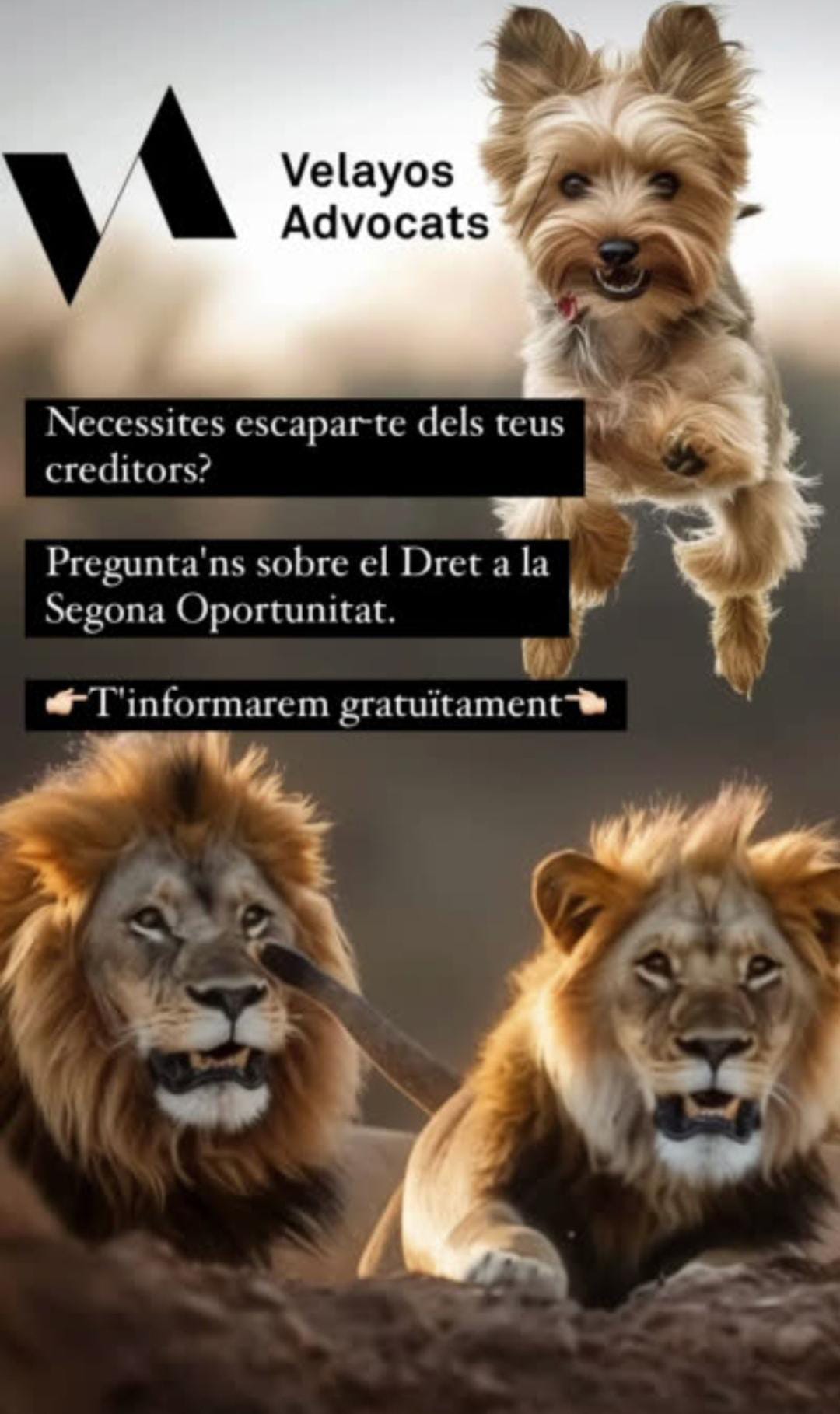 Images Velayos Advocats