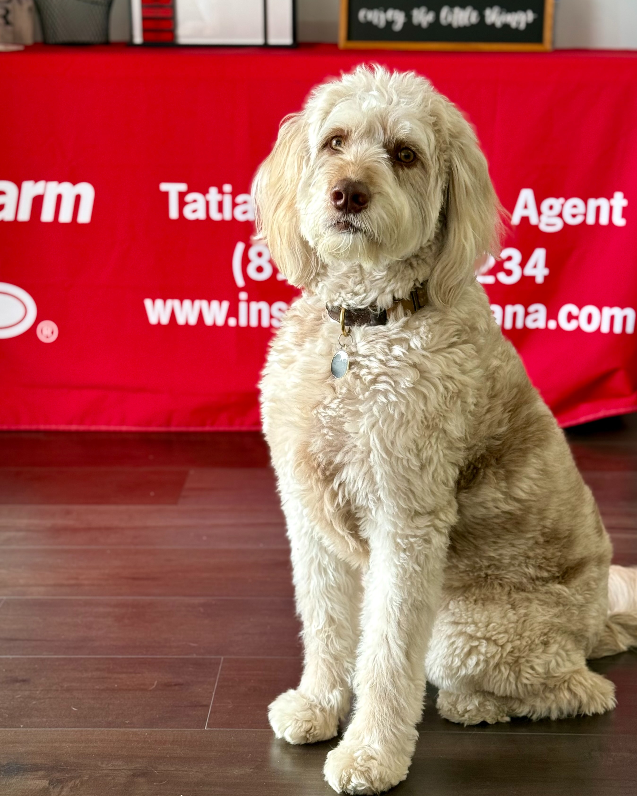 Call or visit our Sherman Oaks office for a free insurance quote!