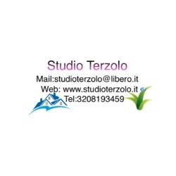 Studio Terzolo Logo