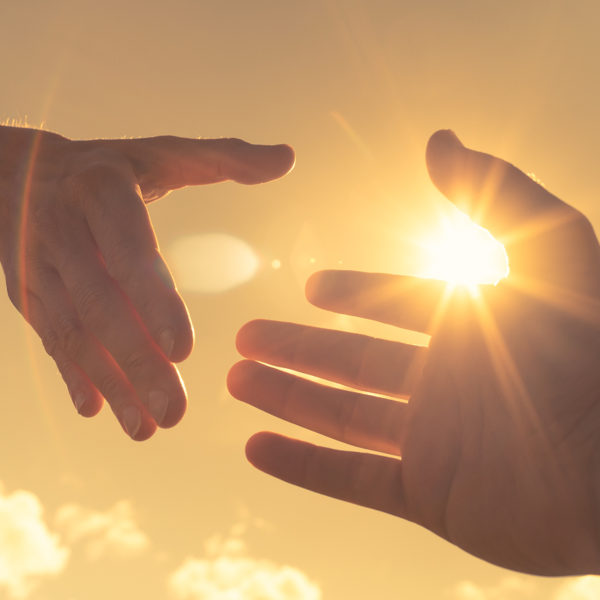 Haushaltsreinigung Bartenbach, Sanddornweg 12 in Köln