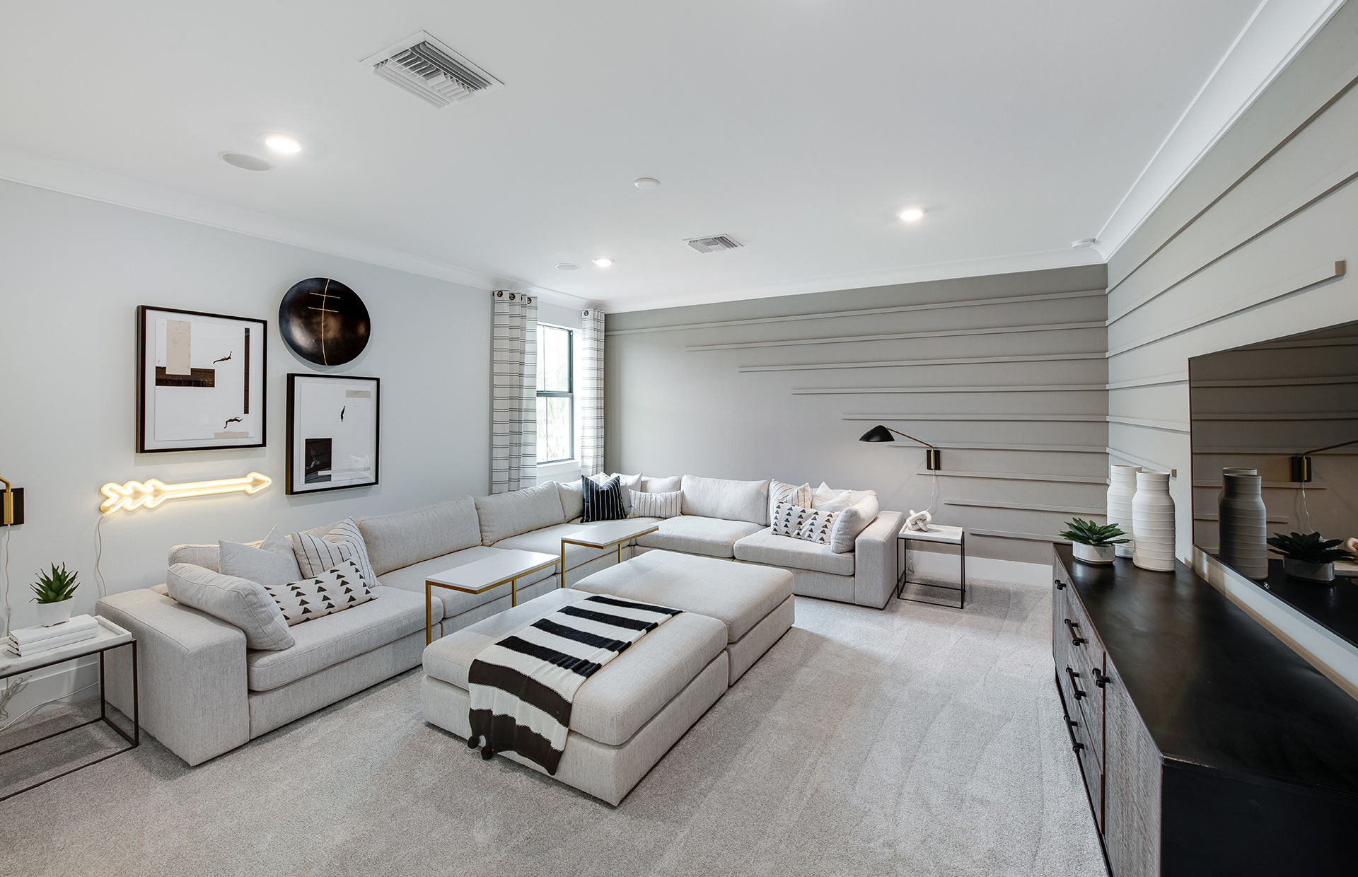 Media Room Options 