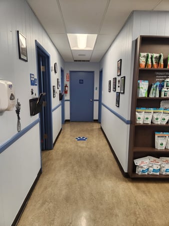 Images VCA Main Street Animal Hospital