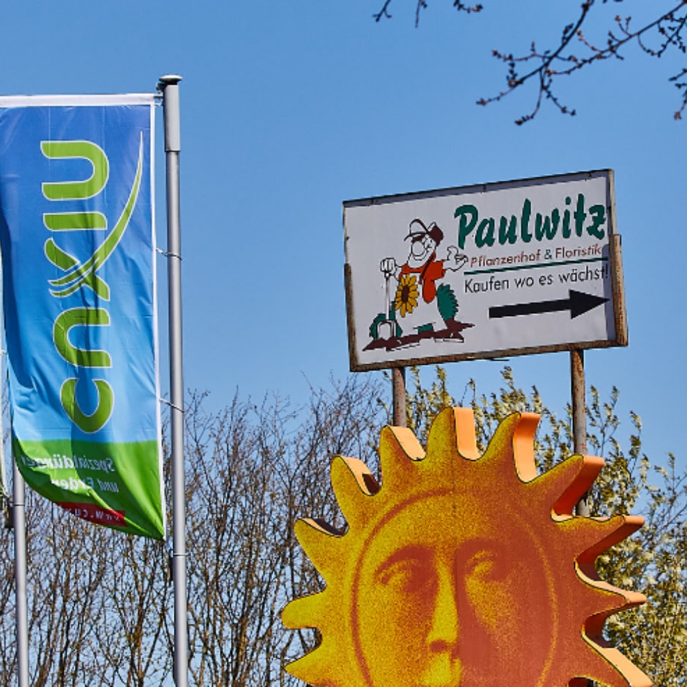 Paulwitz Pflanzenhof & Floristik, Norderdorfkamp 26 in Neumünster