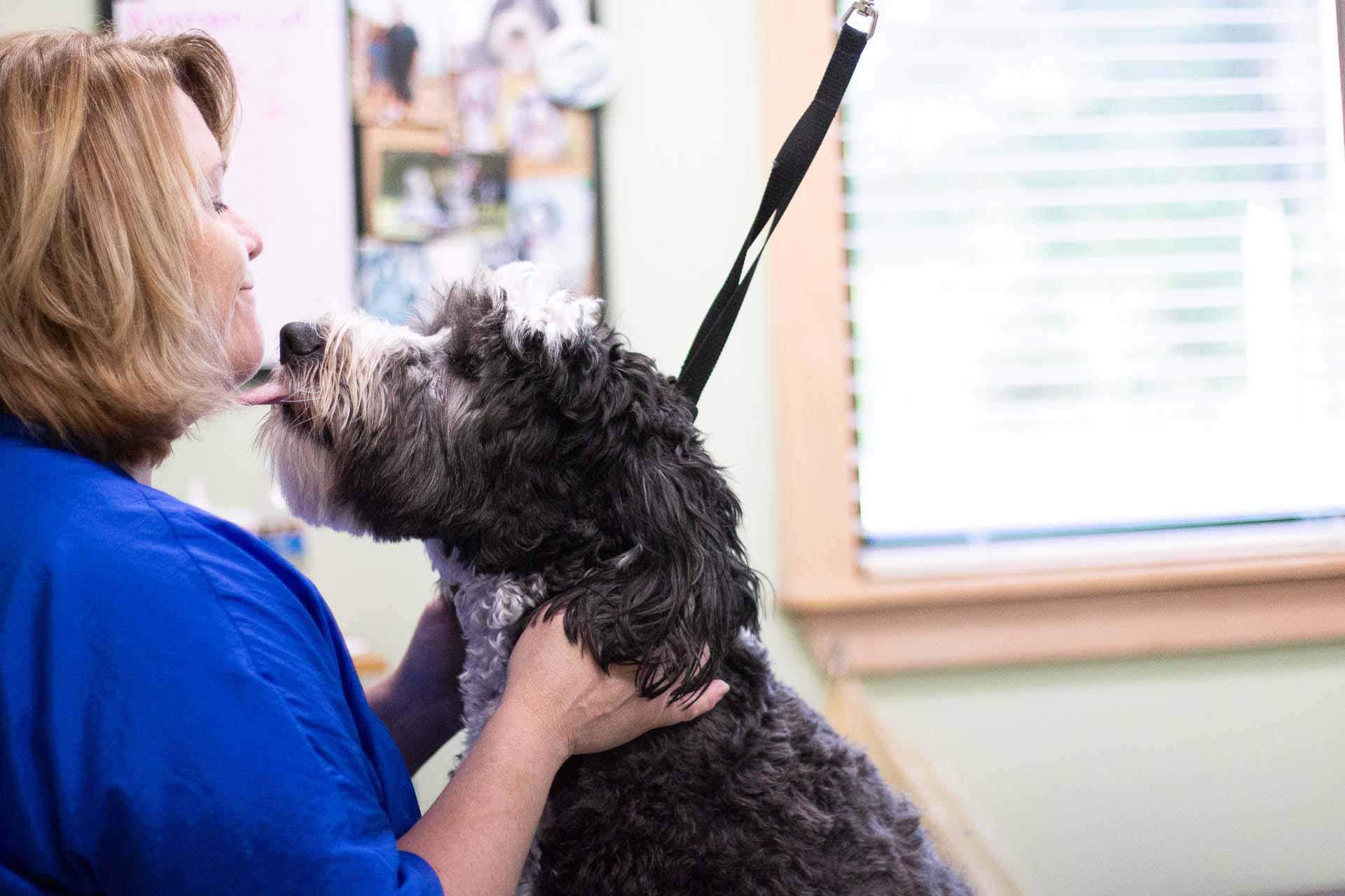 Kisses mid-grooming <3 Lakeland Veterinary Hospital Baxter (218)829-1709
