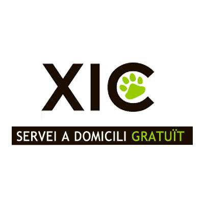 Xic Logo