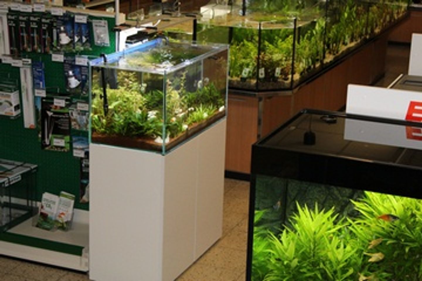 Zoo Rohleder, Dr.-Konrad-Wiegand-Str. 1 in Wörth