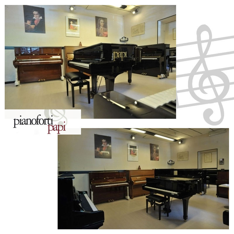 Images Pianoforti Papi